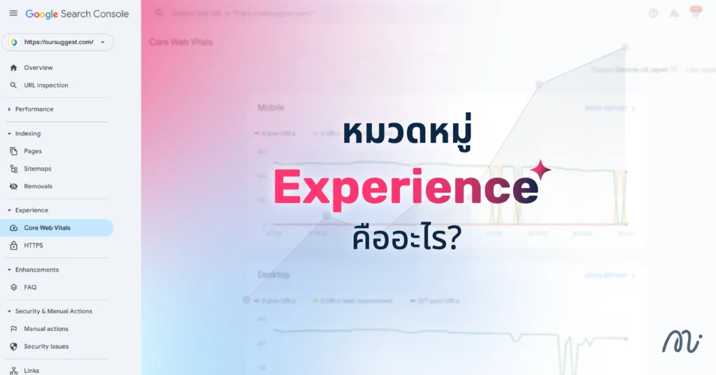 หมวดหมู่ Experience คืออะไร