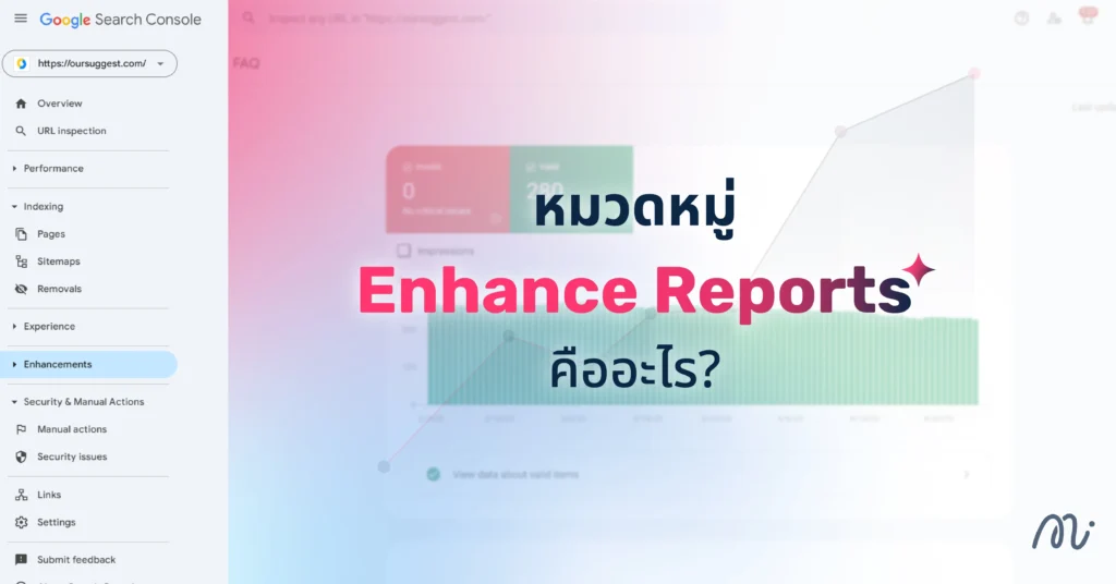 หมวดหมู่ Enhance Reports คืออะไร